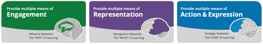 Infographic from CAST showing the three principles of UDL and what areas of the brain are targeted